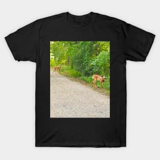 Rockingham Deer T-Shirt